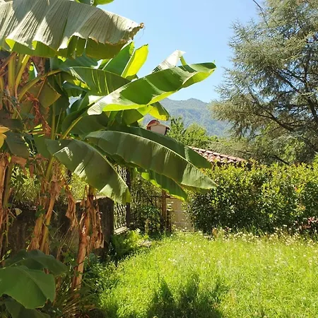 Casa Paradiso شقة