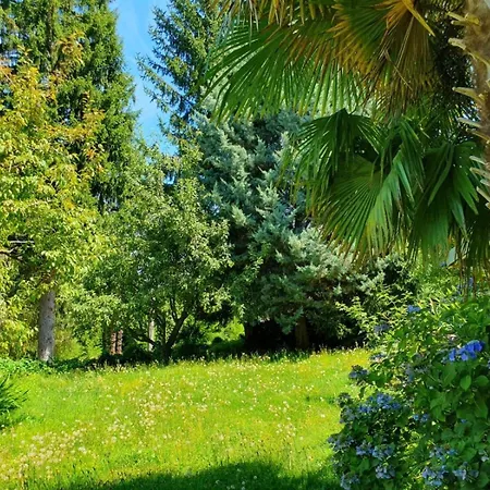 Casa Paradiso بورتو فالترافاغليا